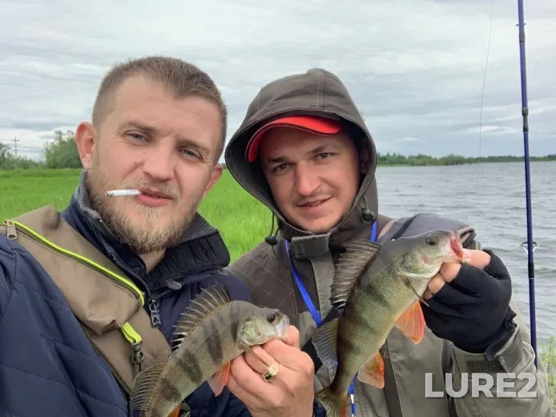 Окунь