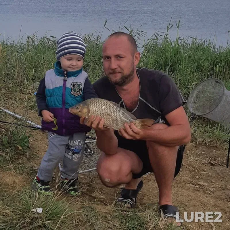 Карп — Самарская область, 13 июл. 2019 г.