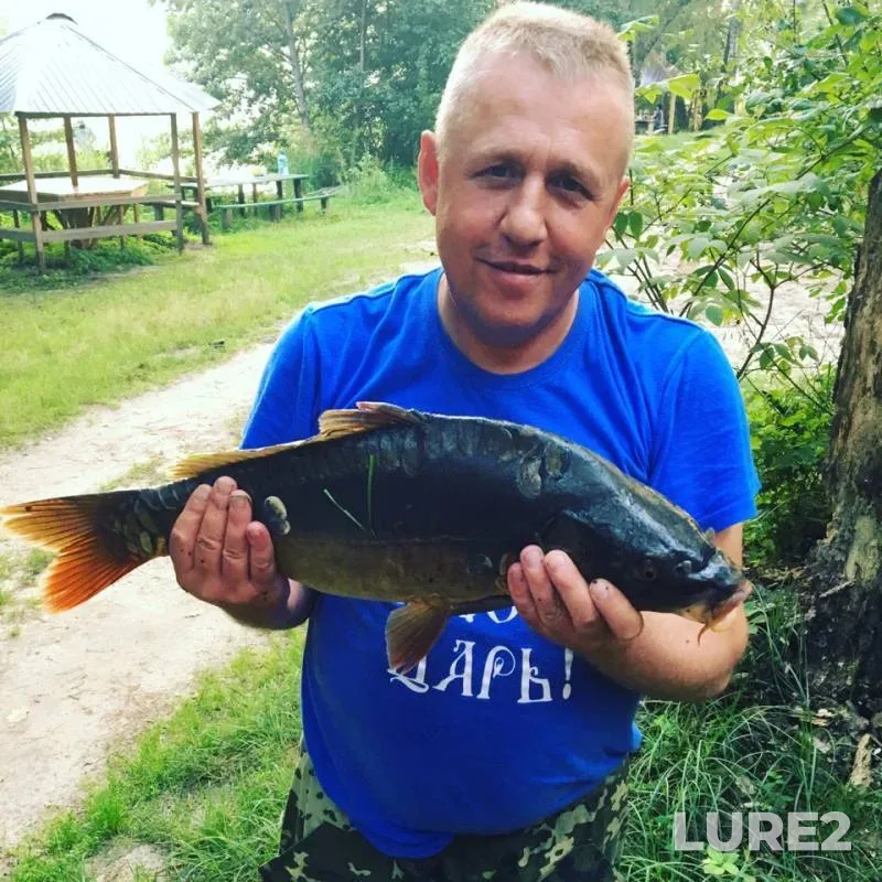 Карп