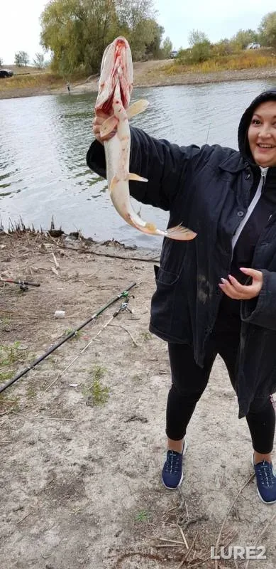 Щука
