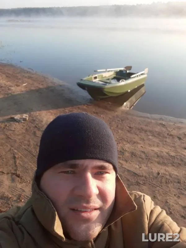 Карась, Окунь