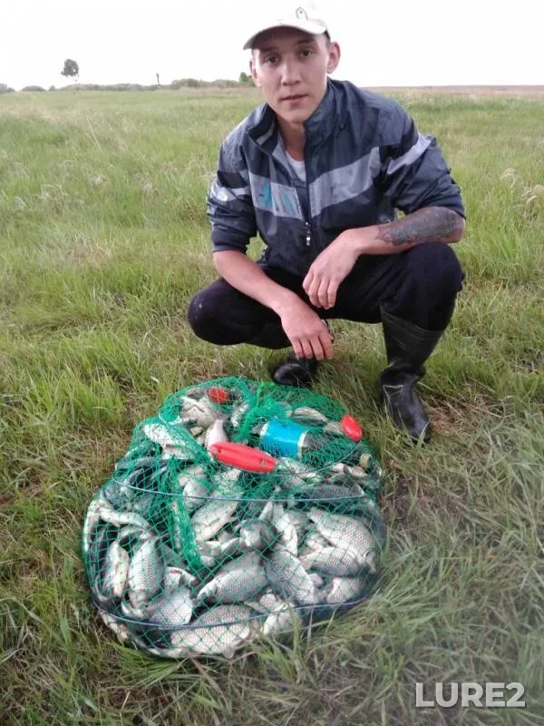 Карась