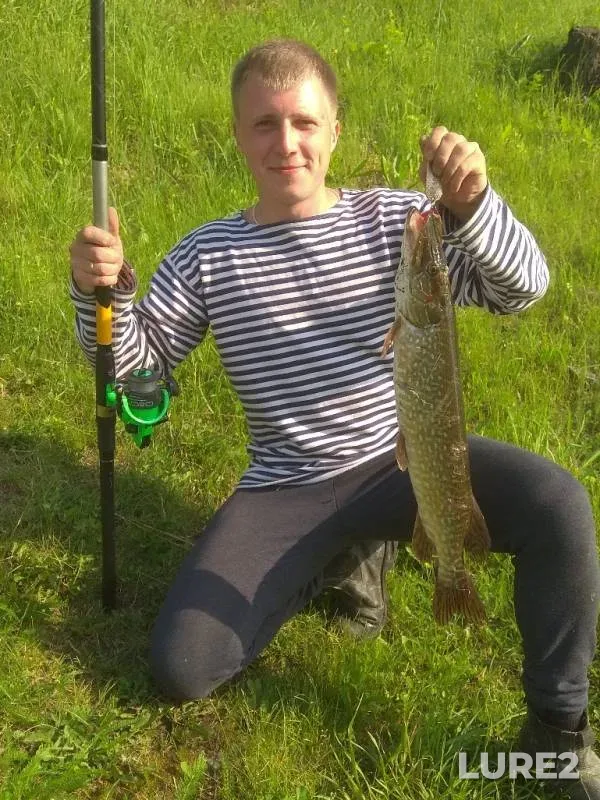 Щука