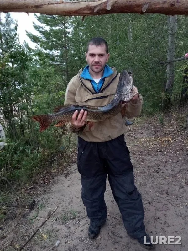 Щука — Пермский край, 30 сент. 2019 г.
