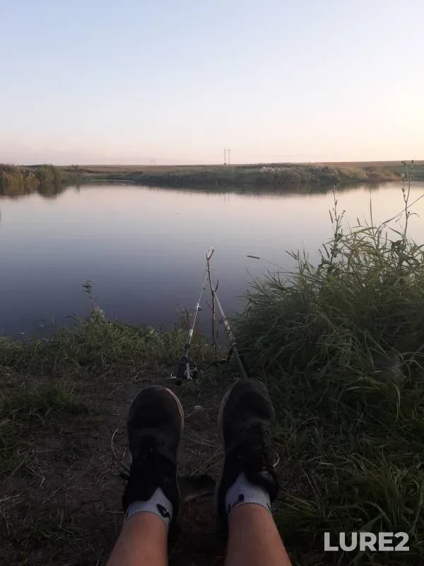 Карась