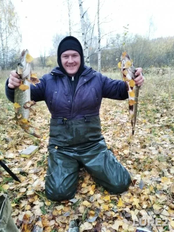 Щука