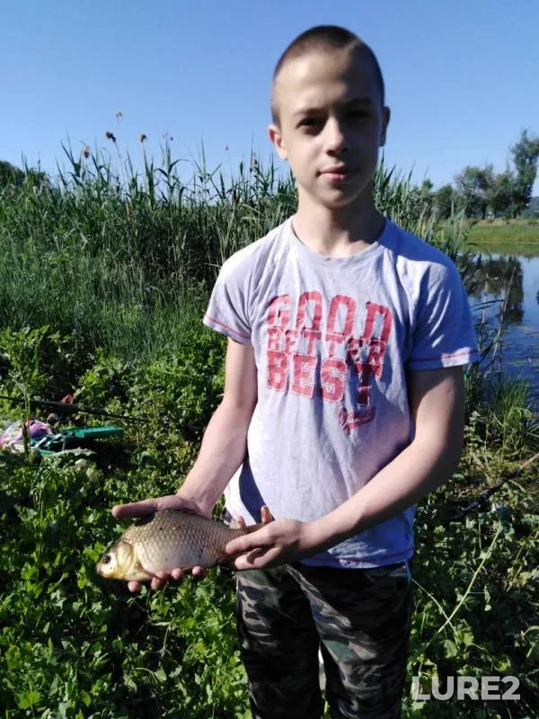 Карась