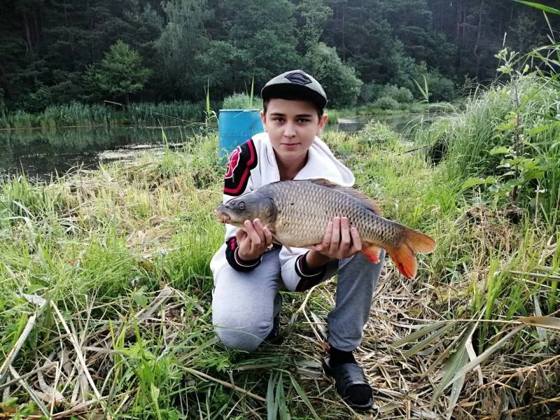 Карп