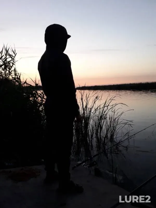 Карась