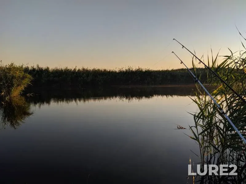 Карась
