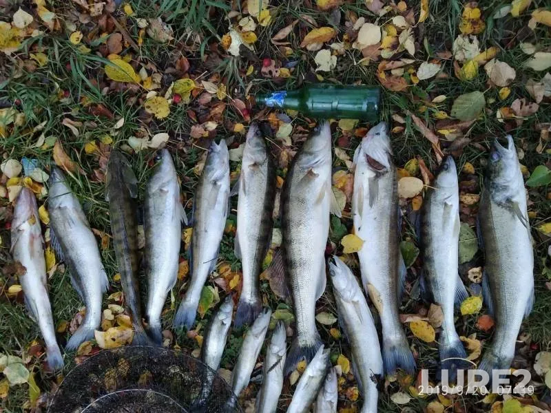 Судак