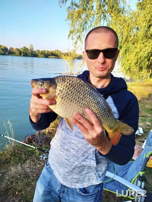 Карп
