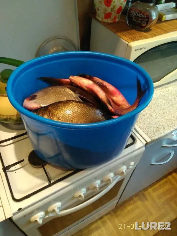 Лещ