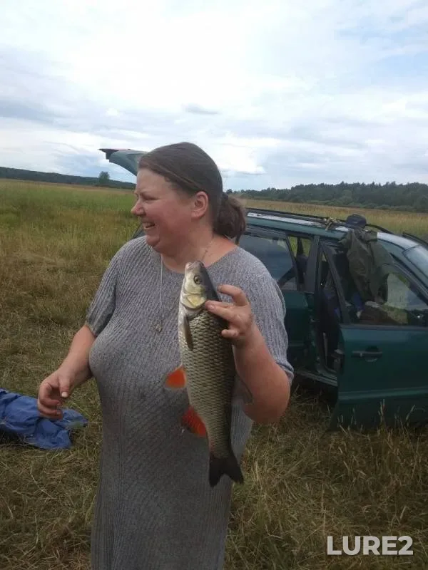 Лещ, Голавль — Друть, 24 июл. 2019 г.