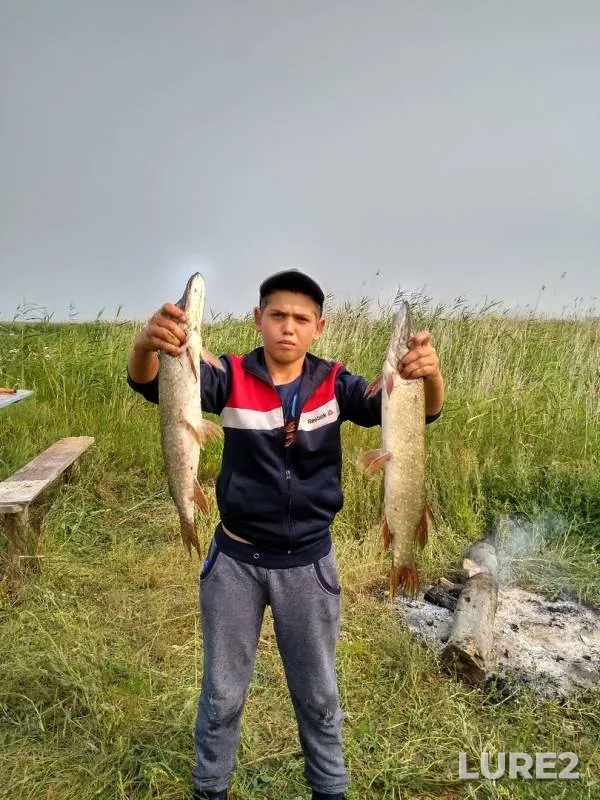 Щука