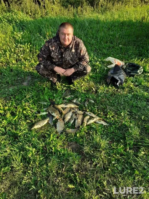 Карась