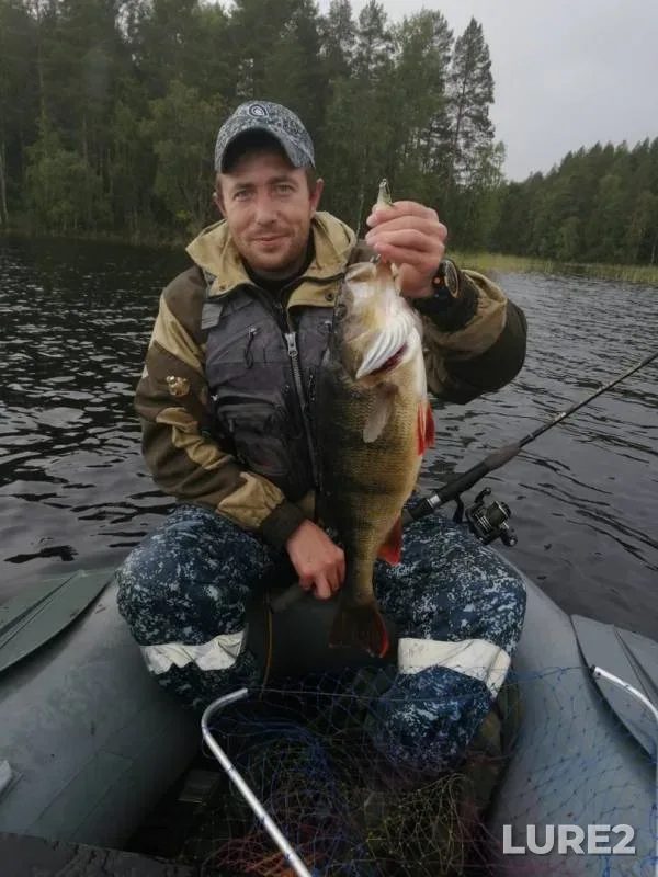 Окунь