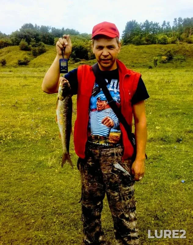 Жерех