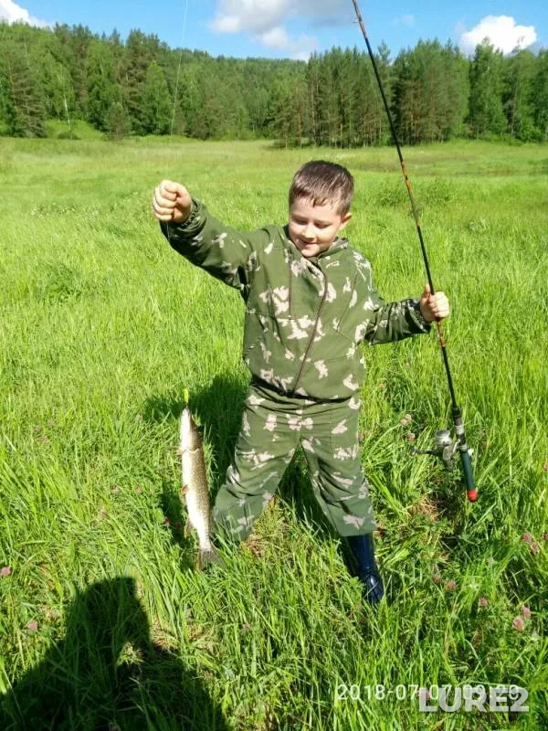 Щука — Красноярский край, 18 сент. 2019 г.