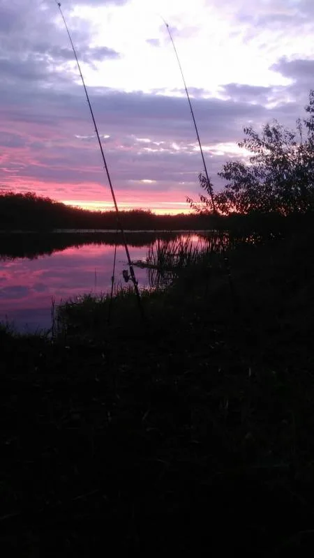 Лещ, Красноперка