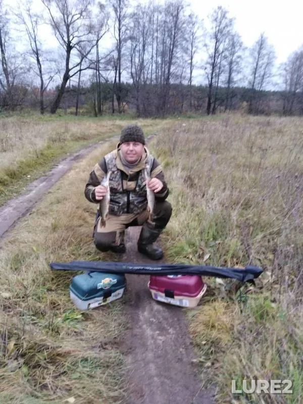 Щука