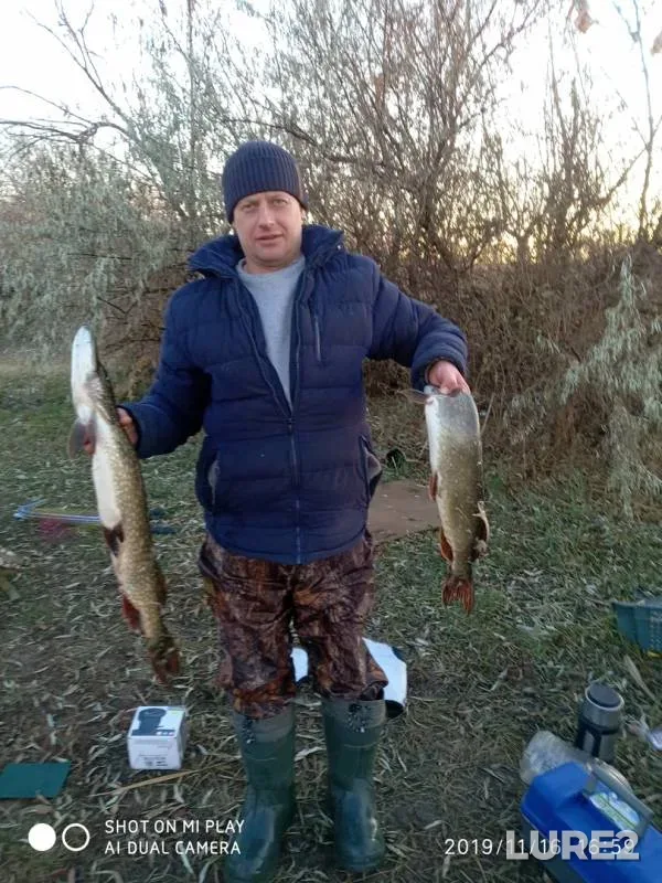 Щука — Волгоградская область, 17 нояб. 2019 г.