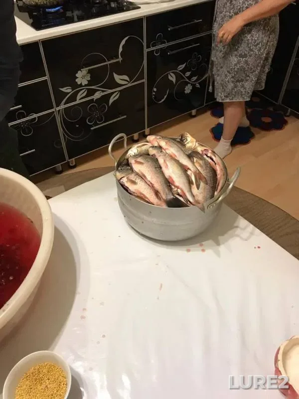Карась