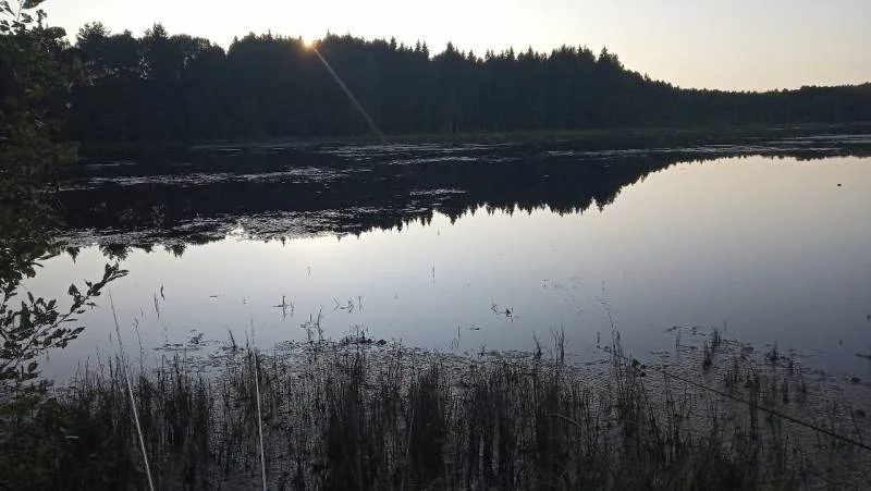 Карась