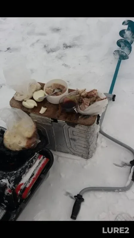 Карась