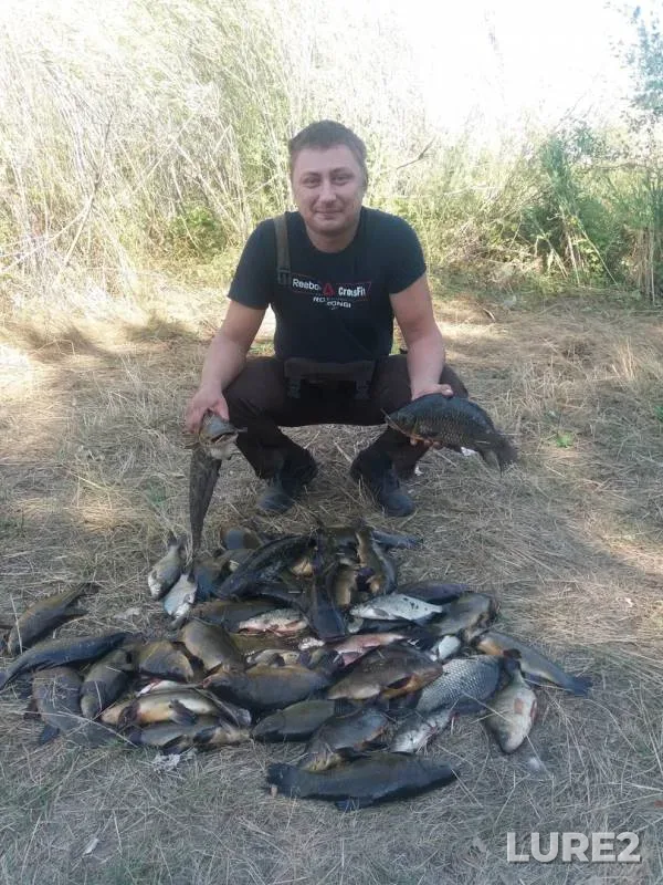 Карась