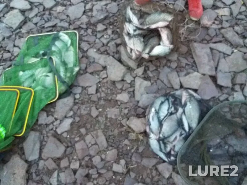 Лещ