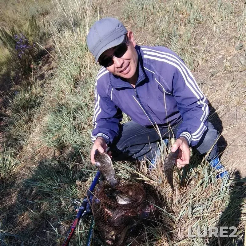 Карась