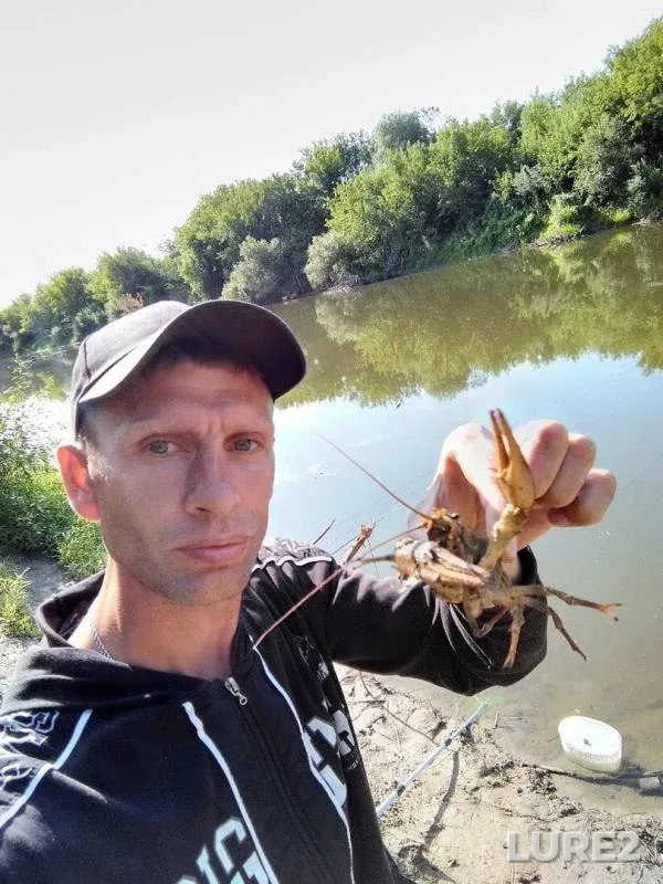 Лещ, Окунь