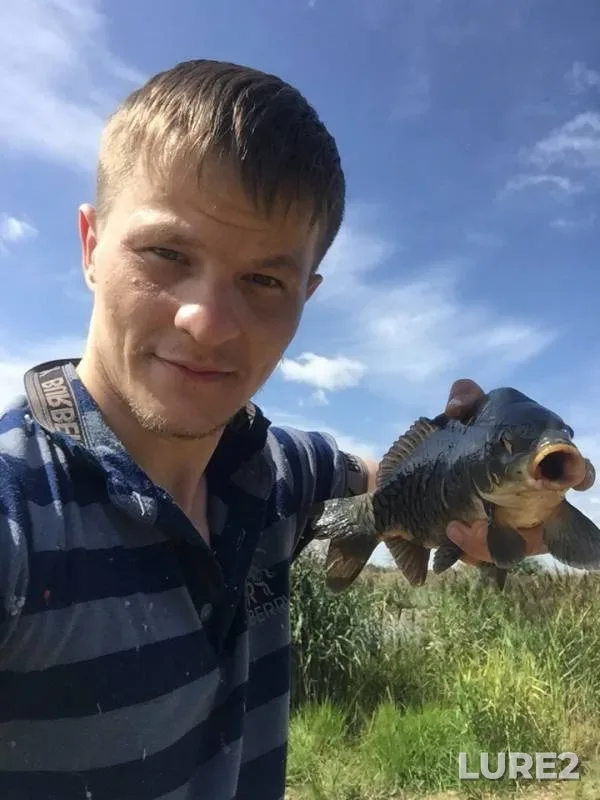 Карп