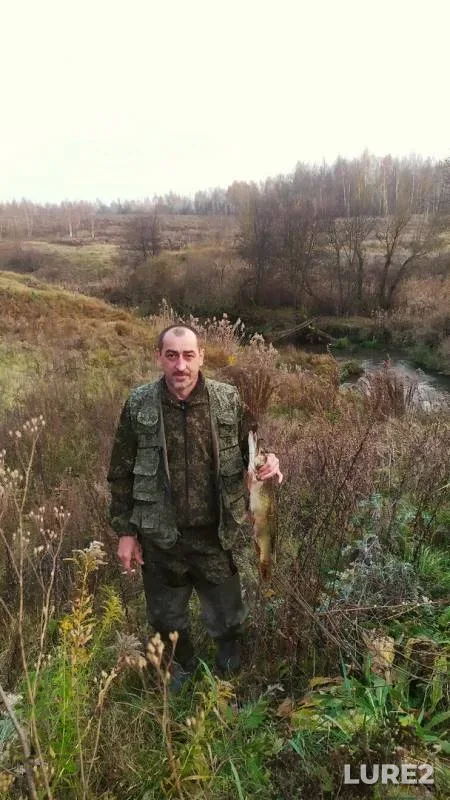 Щука