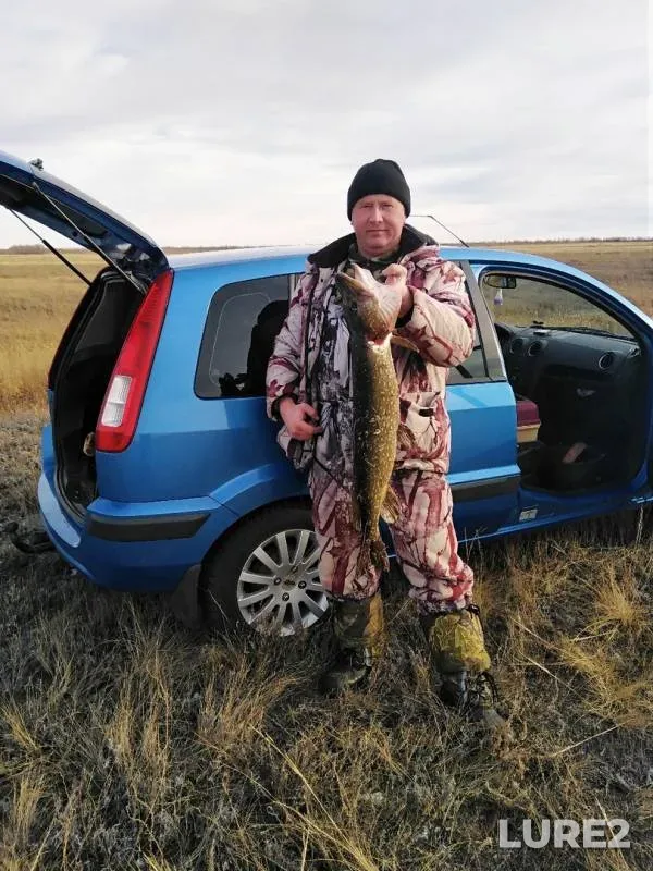 Щука