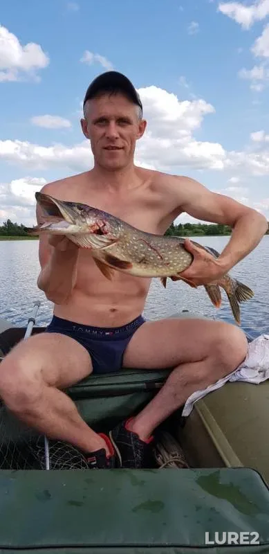 Щука