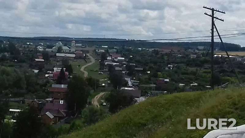 Лещ, Сом