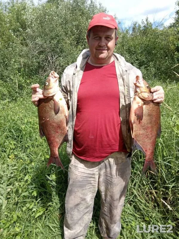 Лещ — Березина, 30 июн. 2019 г.