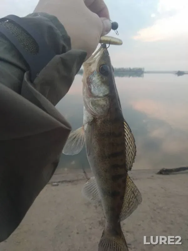 Судак