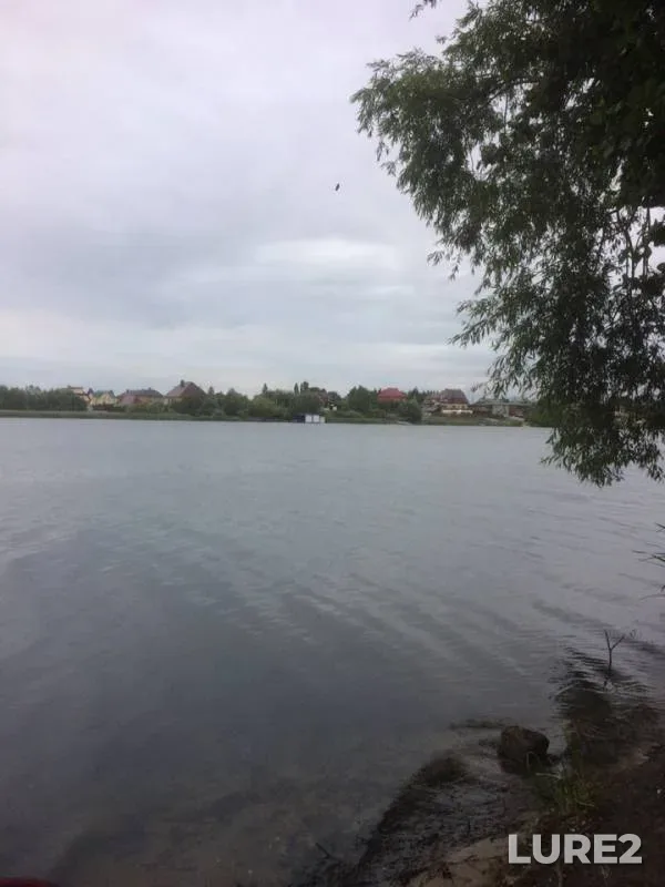 Лещ