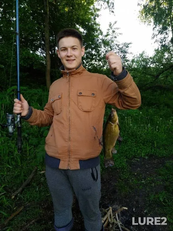 Линь