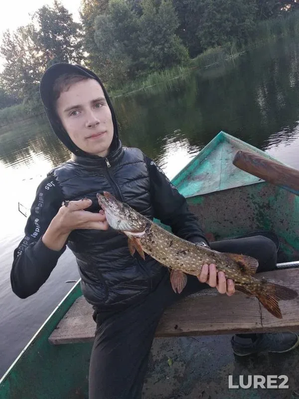 Щука