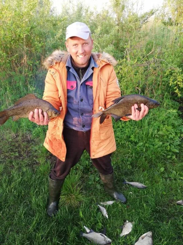 Лещ, Карась