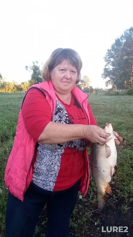 Карп