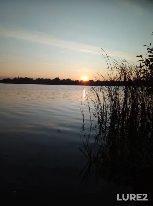 Окунь