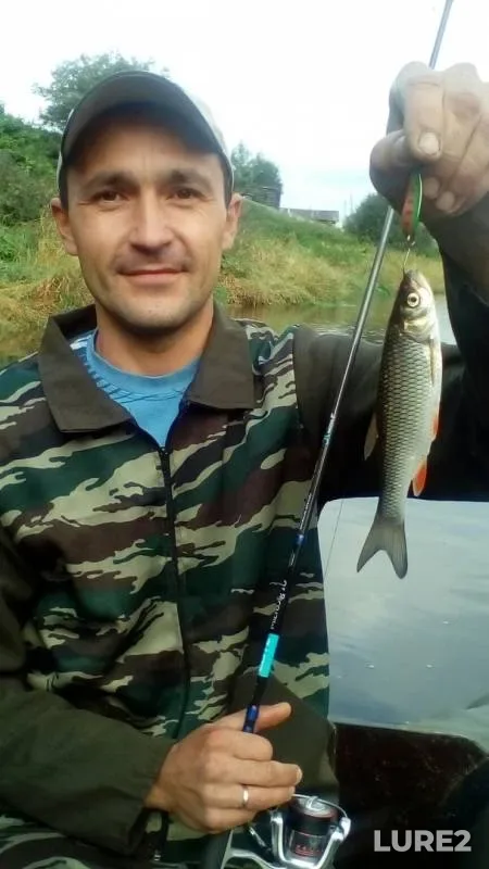 Голавль