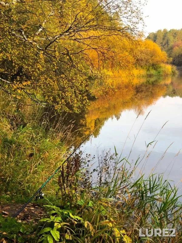 Окунь