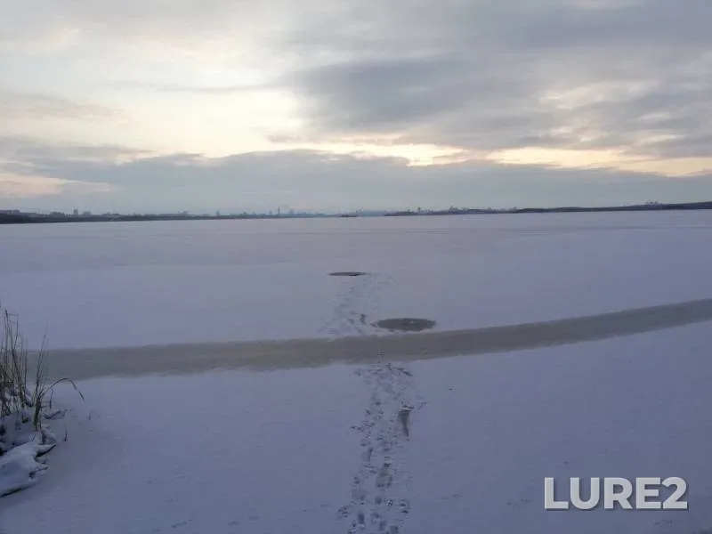 Окунь