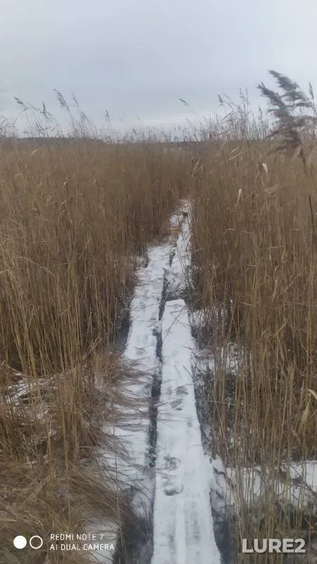 Окунь